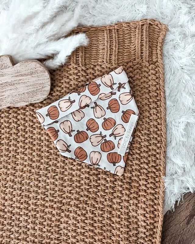 SALE Pumpkin Paradise Loics Fall Collection