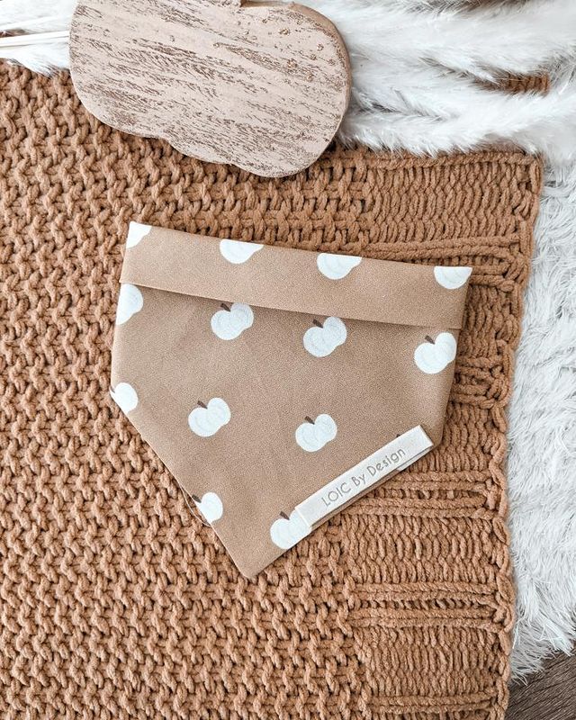 SALE Pumpkin Season Loic's Fall Collection