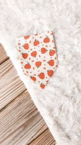 “Pumpkin Patch" Bandana - Pumpkin Patch Collection