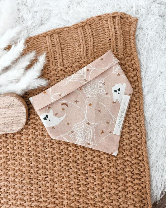 Boo- Hello Autumn Collection
