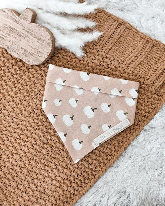 Pumpkin Hello Autumn Collection