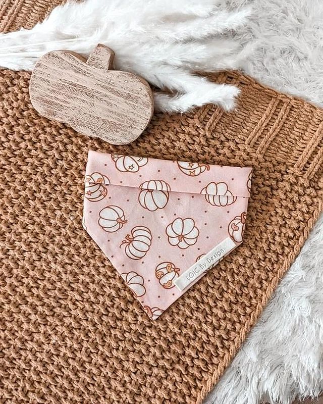 SALE Pumpkin Magic Loics Fall Collection