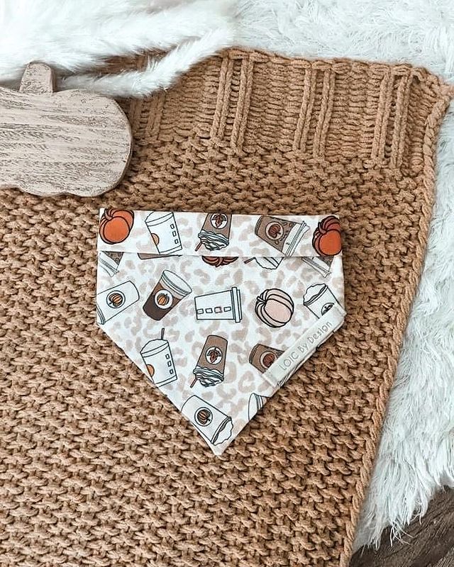 SALE Pumpkin Spice Loic's Fall Collection