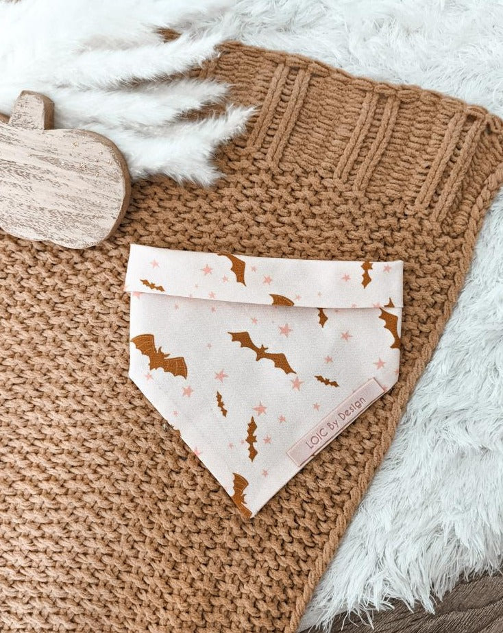 SALE Keeping it Fly Loic's Fall Collection