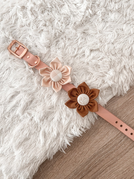 Flower Collar Attachment - So Charming Collection